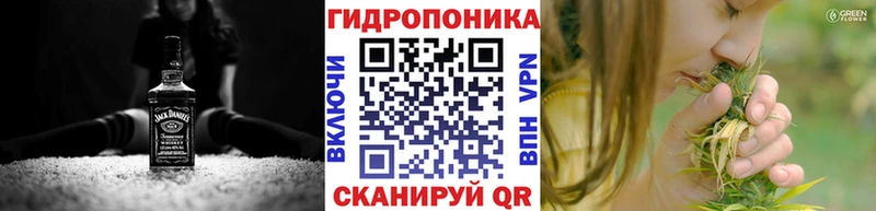 KRAKEN ССЫЛКА  Оха  МАРИХУАНА семена 